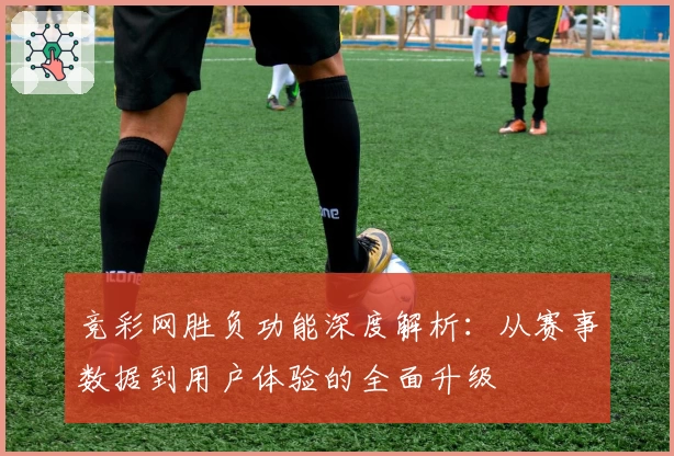 竞彩网胜负功能深度解析：从赛事数据到用户体验的全面升级