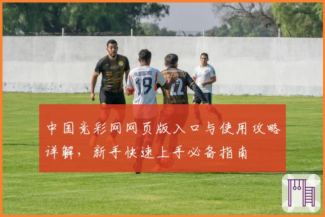 中国竞彩网网页版入口与使用攻略详解，新手快速上手必备指南