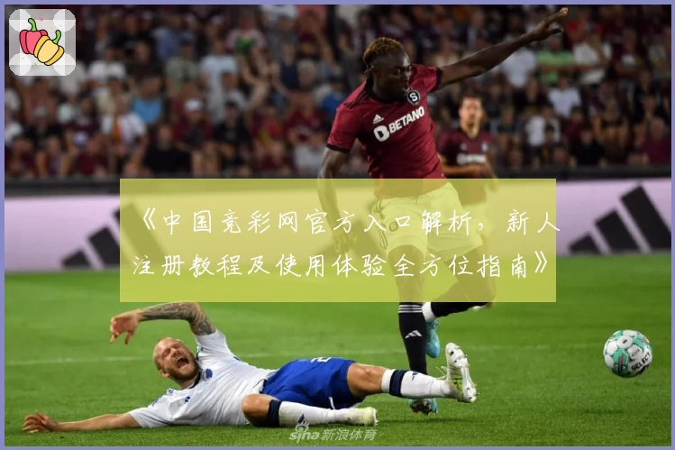 《中国竞彩网官方入口解析，新人注册教程及使用体验全方位指南》