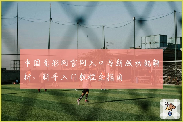 中国竞彩网官网入口与新版功能解析,新手入门教程全指南